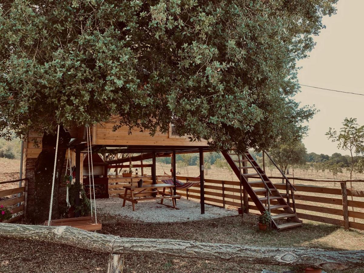 The Treevilla Ioánina Exterior foto